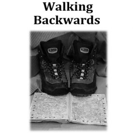 Walking Backwards, pamphlet, V. Press, 2017. Sold out.